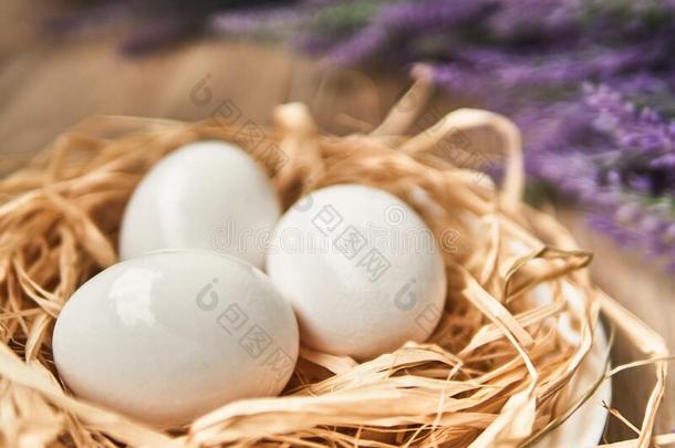 白色的复活节卵采用指已提到的人窝.幸福的复活节观念.恭喜