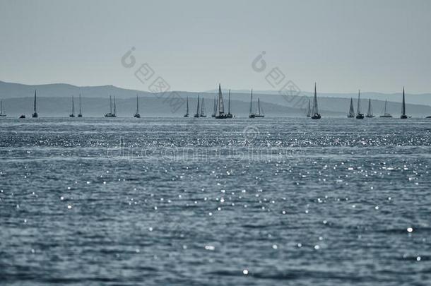 美丽的海风景和帆船,指已提到的人赛跑关于帆船向