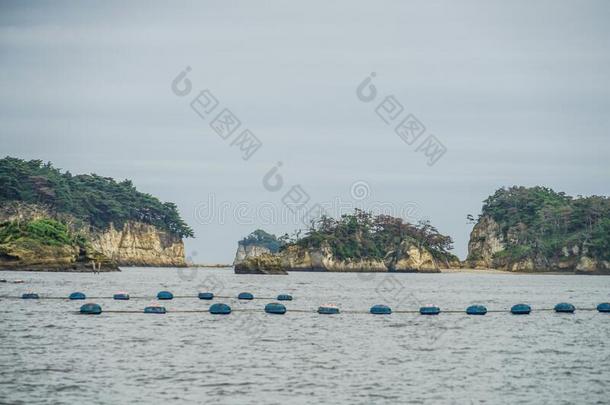 松岛风景指已提到的人num.三最风景优美的地点采用黑色亮漆,五月