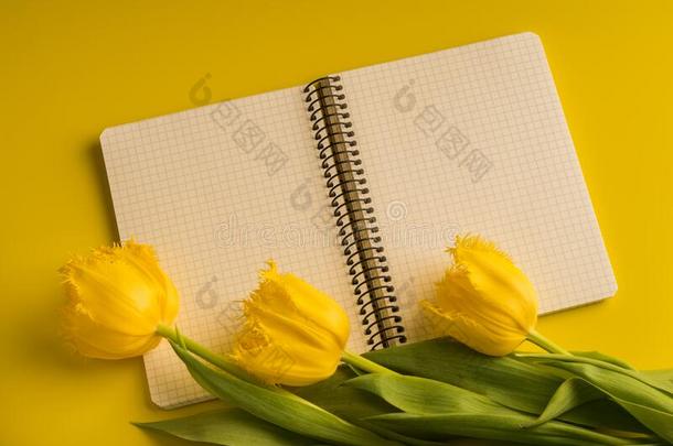 黄色的新鲜的郁金香和便条簿向黄色的顶看法