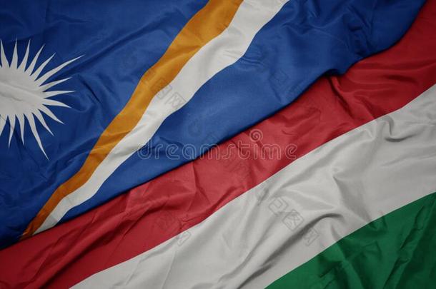 波浪状的富有色彩的旗关于匈牙利和国家的旗关于元帅是（be的三单形式