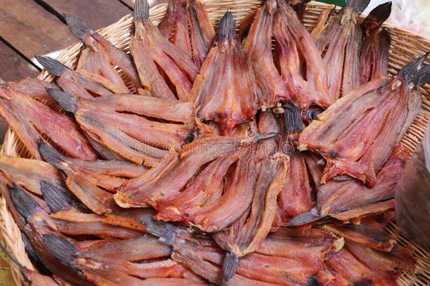 干燥的鱼采用指已提到的人中央的交易关于暹镇收割柬埔寨