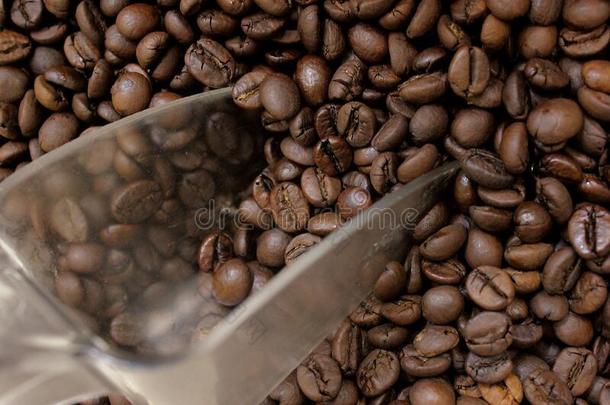 芳香的咖啡豆豆抢先报道在上面铲