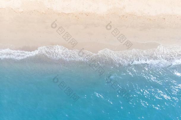 蓝色海和白色的s和海滩采用夏l和scape为蜘蛛网同“vertisement”