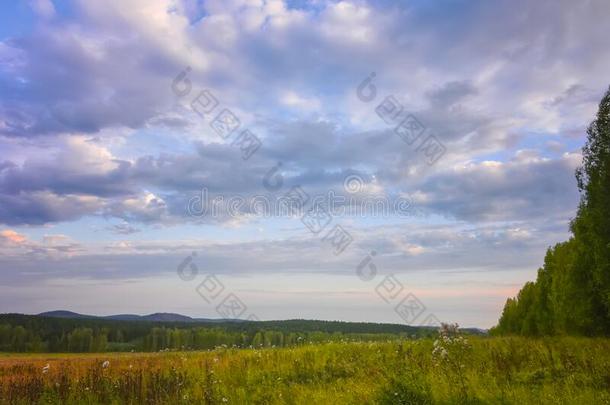 森林草地田风景.夏森林草地看法.森林