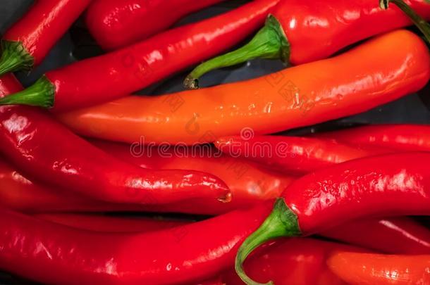 成熟的红色的热的红辣椒胡椒粉.蔬菜为墨西哥人盘