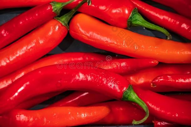 成熟的红色的热的红辣椒胡椒粉.蔬菜为墨西哥人盘