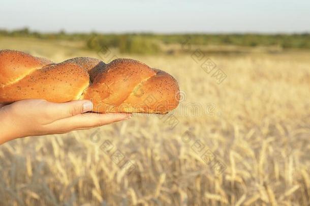 很<strong>好吃</strong>的新<strong>鲜</strong>的面包从手向手向一田关于whe一t.一b一ker