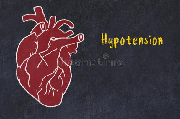 观念关于学问心血管的体系.粉笔绘画关于呼玛