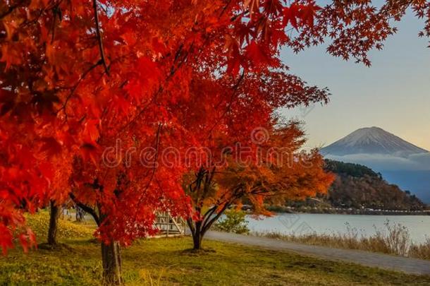 秋在河口湖湖
