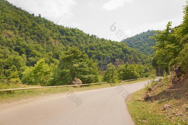 山路在之间森林.弯曲的山路.一路我