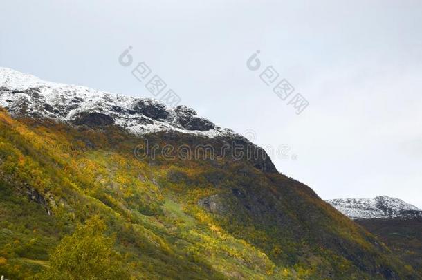 大的下雪的人名越过红色的森林挪威风景