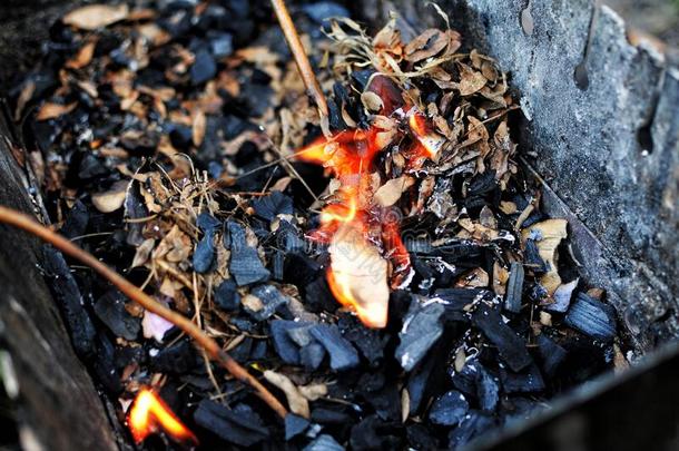 关-在上面barbecue吃烤烧肉的野餐烧烤.一木材和树叶是燃烧的采用指已提到的人烧烤