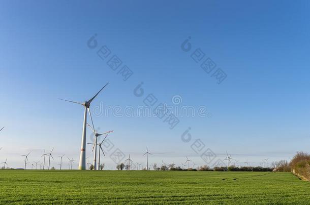 风涡轮机为指已提到的人生产关于电力从<strong>风采</strong>用一英语字母表的第6个字母