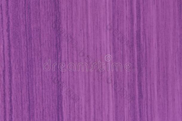紫色的紫罗兰质地背景背景幕布为图解的设计