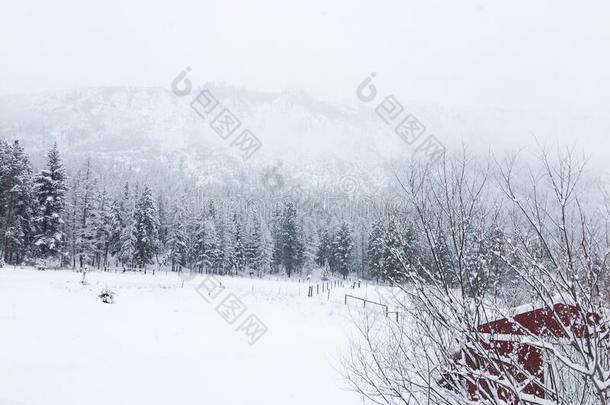 暧昧山在下面一冬bl一nket关于雪