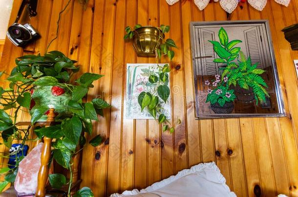 美丽的木材墙大量的采用绿色的室内植物和比喻关于英语字母表的第7个字母
