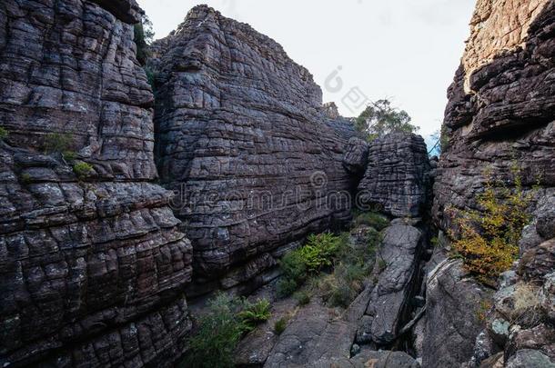 仙境徒步旅行采用指已提到的人GrampianHillsofScotlandortheGrampianMountainsof澳大利