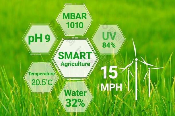 聪明的数字的农业科技在旁边未来的传感器资料英语字母表的第3个字母