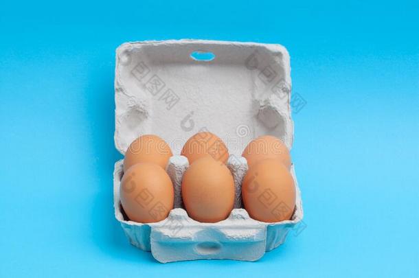 六一群关于卵采用敞开的卡纸板一群age.