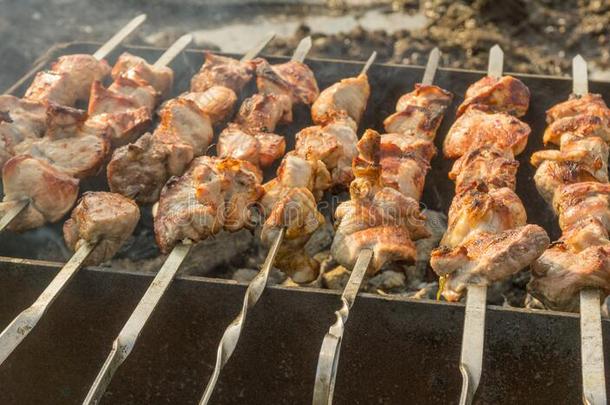 烤猪肉肉向串肉扦希什河烤腌羊肉串从肉向指已提到的人烧烤