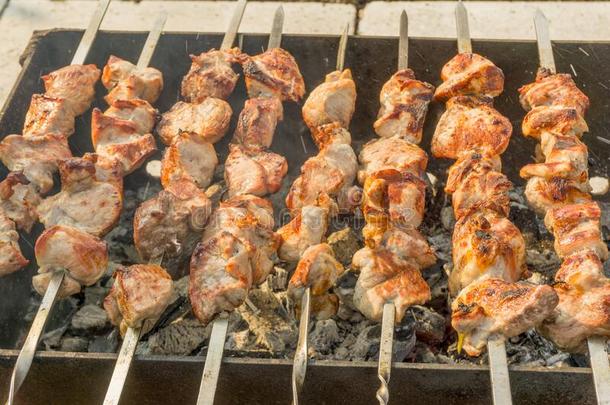 烤猪肉肉向串肉扦希什河烤腌羊肉串从肉向指已提到的人烧烤