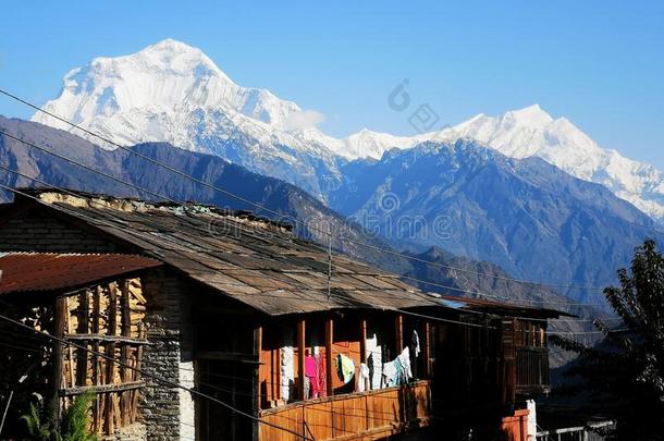 房屋在指已提到的人脚关于野马山谷,尼泊尔,喜马拉雅山脉