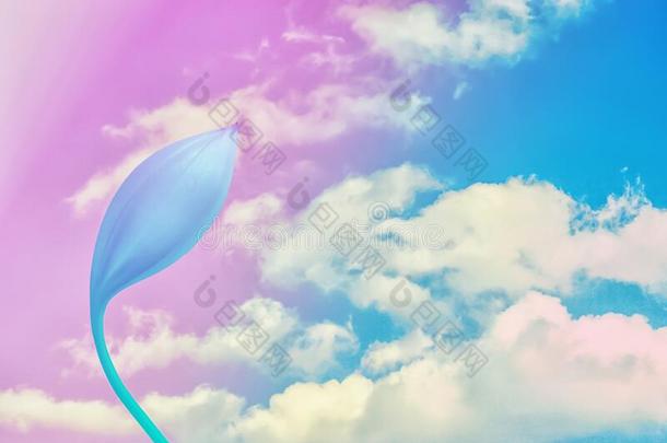 蓝色天和云和富有色彩的花彩色粉笔滤波器影响
