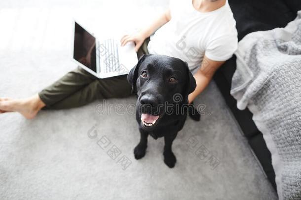 自由作<strong>家家</strong>伙和便携式电脑和狗是（be的三单形式工作的在家采用隔离