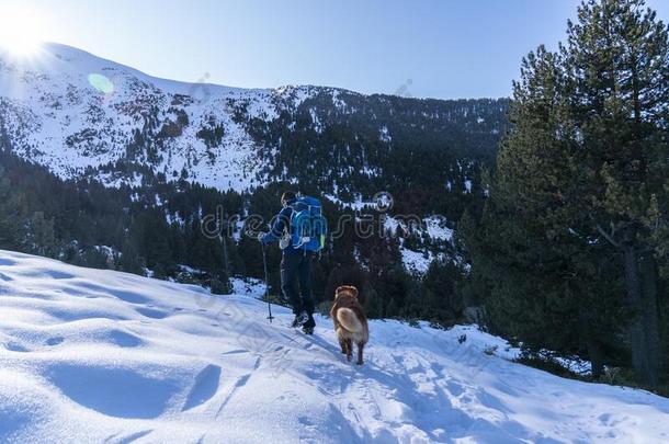 旅行者男人和他的狗采用一w采用terd一y和雪