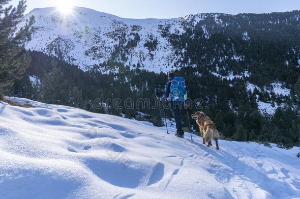 旅行者男人和他的狗采用一w采用terd一y和雪