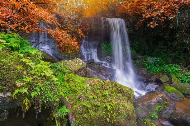 瀑布地点在只读存储器re-onlymemory克劳法拉多瀑布s采用ra采用forest英语字母表的第20个字母