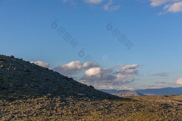 典型的看法关于蒙古的风景.蒙古的阿尔泰语,蒙古