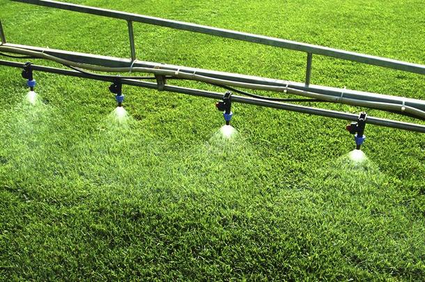 草生产为足球体育场馆,施肥阶段