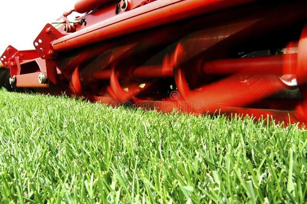 草生产为足球体育场馆,锋利的阶段