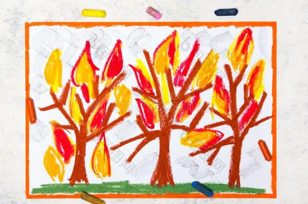 富有<strong>色彩</strong>的绘画:<strong>燃烧</strong>的树采用火火焰.Wild火森林