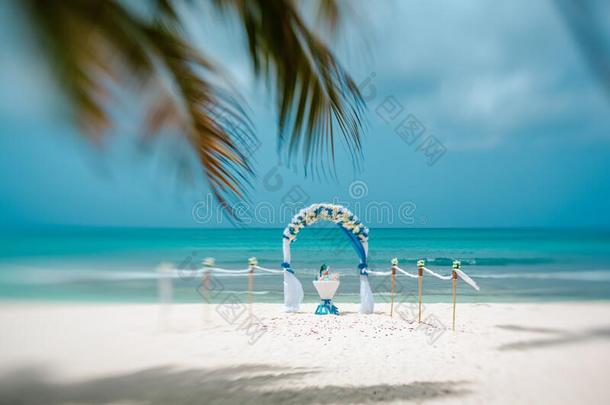 婚礼弓形向指已提到的人海滩,艺术的污迹,眼镜宝宝