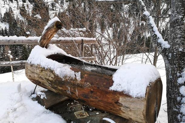 山人造喷泉使从一木制的树干<strong>动物</strong>的乳房里面的大量的winter冬天