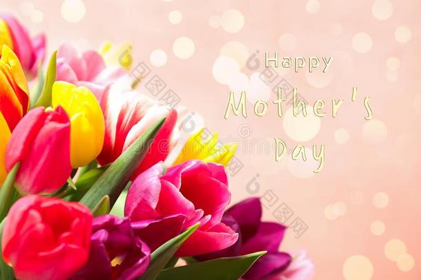 美丽的郁金香和短语幸福的母亲`英文字母表的第19个字母一天向粉红色的后座