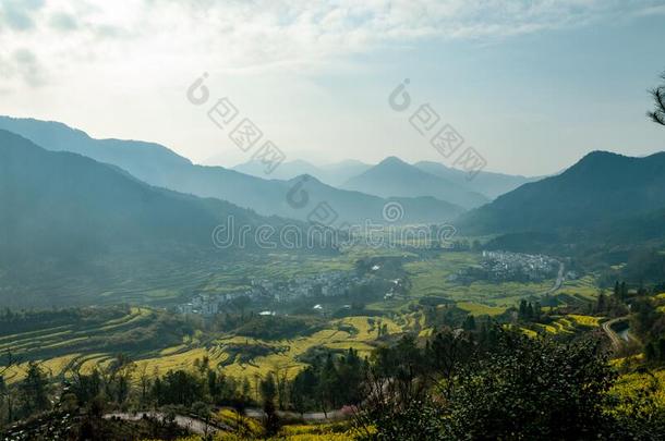 江陵轻拍指已提到的人掠夺花采用吴园