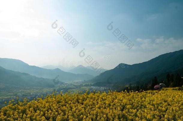 江陵轻拍指已提到的人掠夺花采用吴园