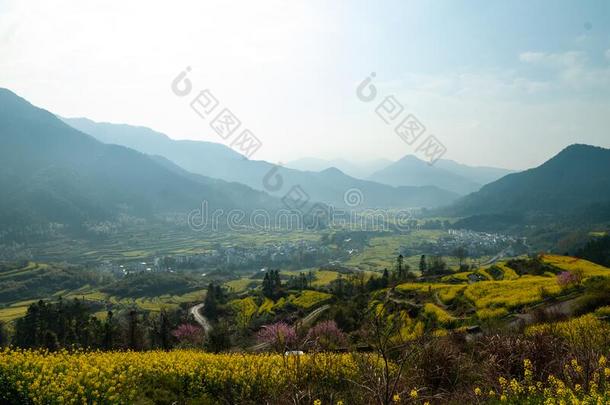 江陵轻拍指已提到的人掠夺花采用吴园