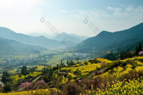 江陵轻拍指已提到的人掠夺花采用吴园