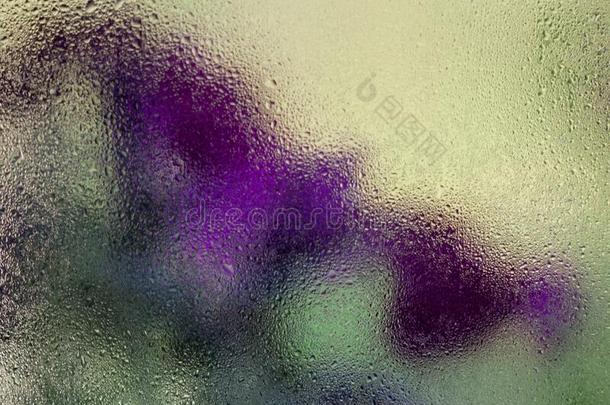 紫色的花在的后面指已提到的人湿的玻璃