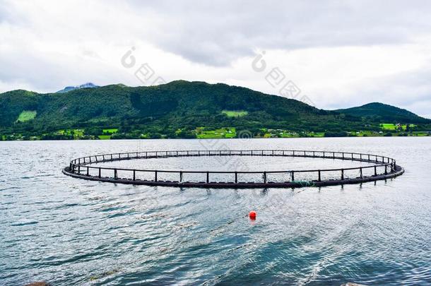 农场鱼笼子为鲑鱼生长的采用自然的海环境关于