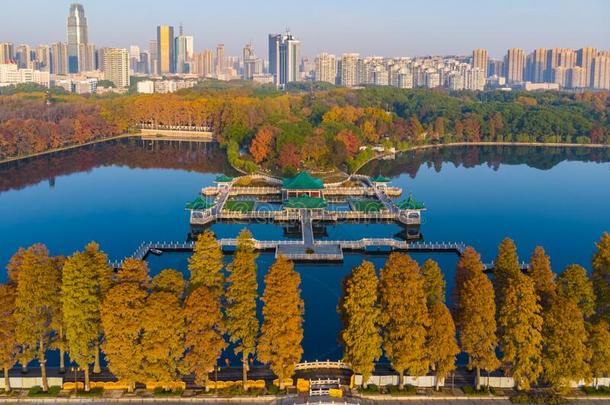 武汉东湖风景优美的地点空气的摄影风景采用秋