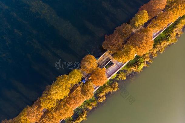 武汉东湖风景优美的地点空气的摄影风景采用秋