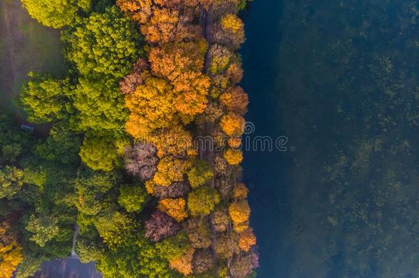 武汉东湖风景优美的地点空气的摄影风景采用秋