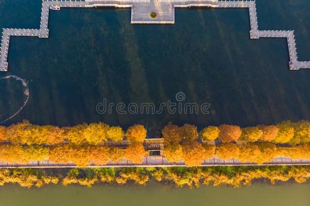 武汉东湖风景优美的地点空气的摄影风景采用秋