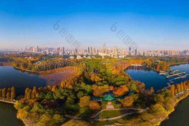 武汉东湖风景优美的地点空气的摄影风景采用秋